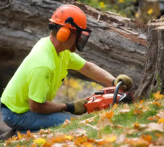 tree services Gretna